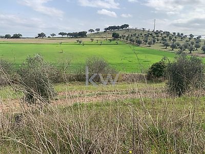 listing-picture-0