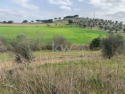 listing-picture-0