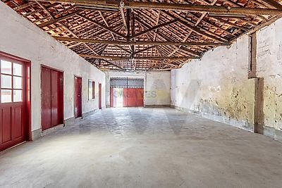 listing-picture-0