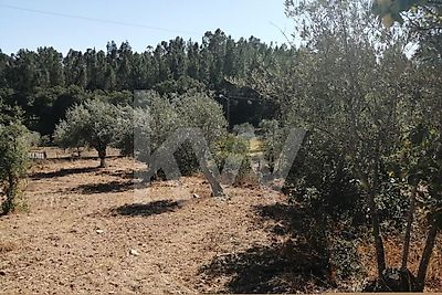 listing-picture-0