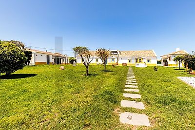 listing-picture-0