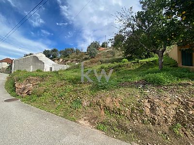 listing-picture-0