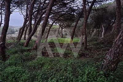 listing-picture-0