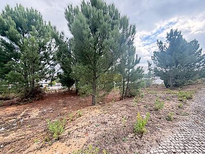 listing-picture-0
