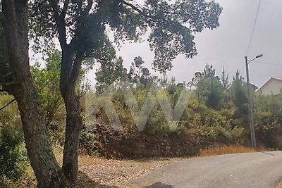 listing-picture-0
