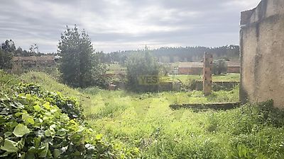 listing-picture-0