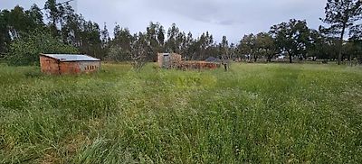 listing-picture-0