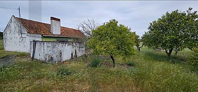 listing-picture-0