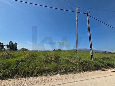 listing-picture-0