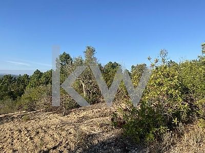 listing-picture-0