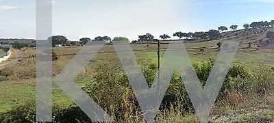 listing-picture-0