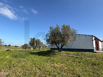listing-picture-0
