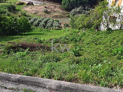 listing-picture-0