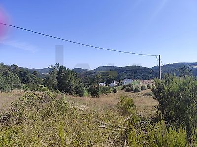 listing-picture-0
