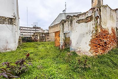 listing-picture-0