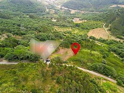 listing-picture-0