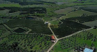 listing-picture-0