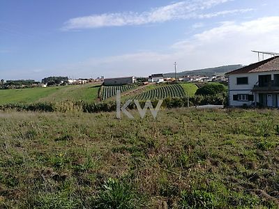 listing-picture-0