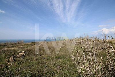 listing-picture-0