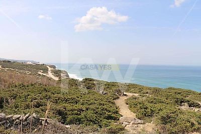 listing-picture-0