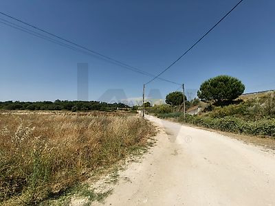 listing-picture-0