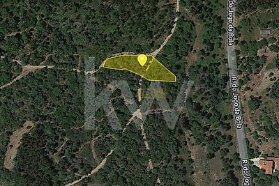 listing-picture-0