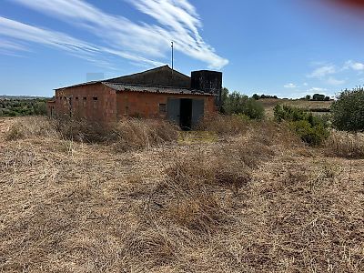 listing-picture-0
