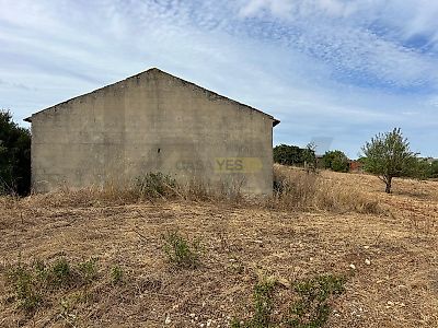 listing-picture-0