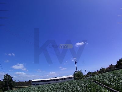 listing-picture-0