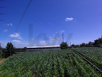 listing-picture-0