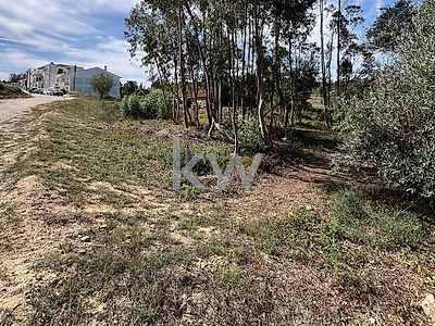 listing-picture-0