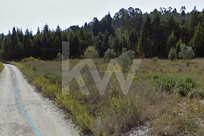 listing-picture-0