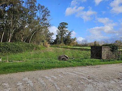 listing-picture-0