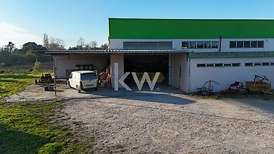 listing-picture-0