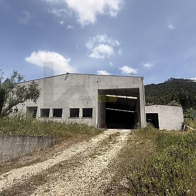 listing-picture-0