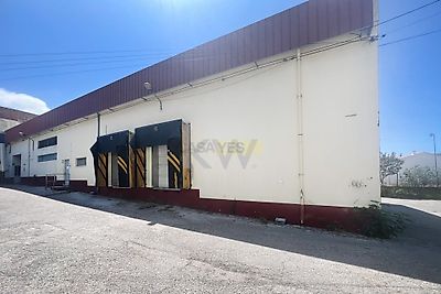 listing-picture-0