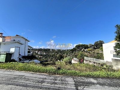 listing-picture-0