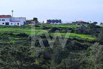 listing-picture-0