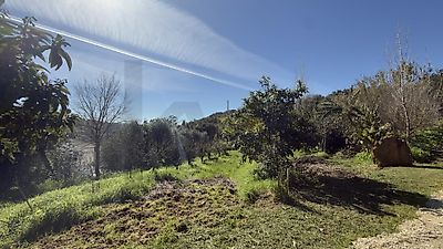 listing-picture-0