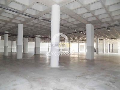 listing-picture-0