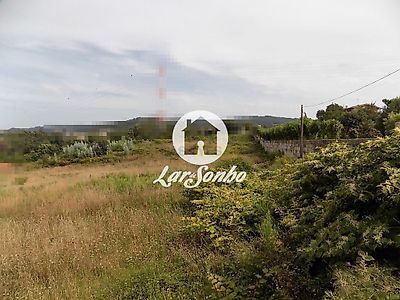 listing-picture-0