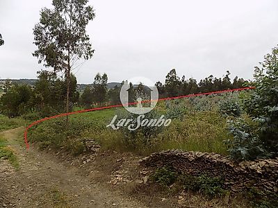 listing-picture-0