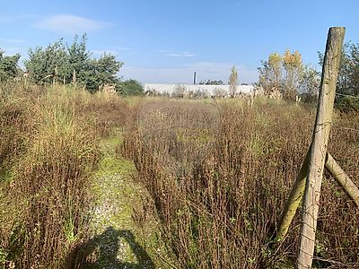 listing-picture-0