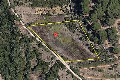 listing-picture-0