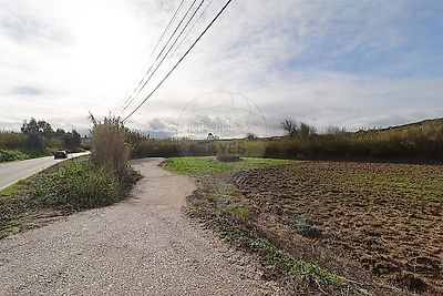 listing-picture-0