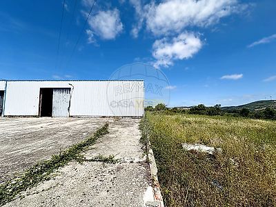 listing-picture-0