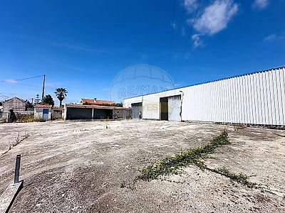 listing-picture-0