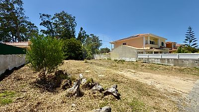 listing-picture-0