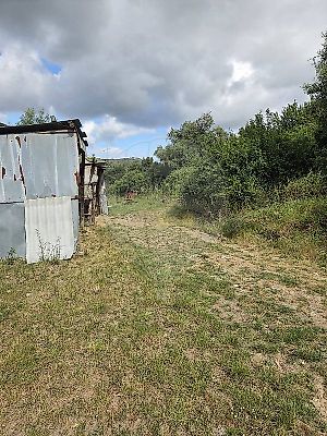 listing-picture-0