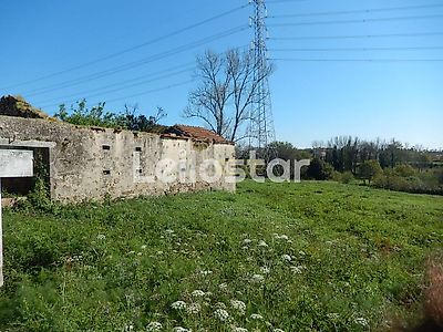listing-picture-0